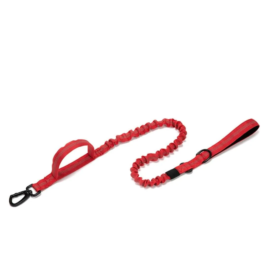 1000D Multifunctional Reflective Bungee Leash
