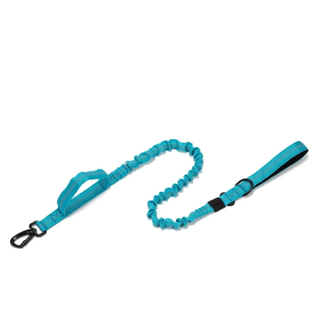 1000D Multifunctional Reflective Bungee Leash