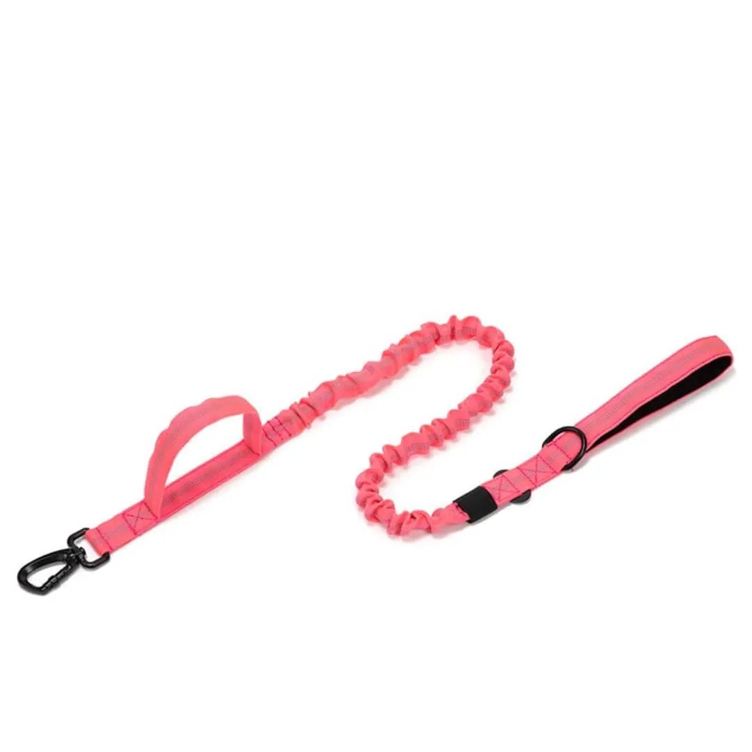 1000D Multifunctional Reflective Bungee Leash