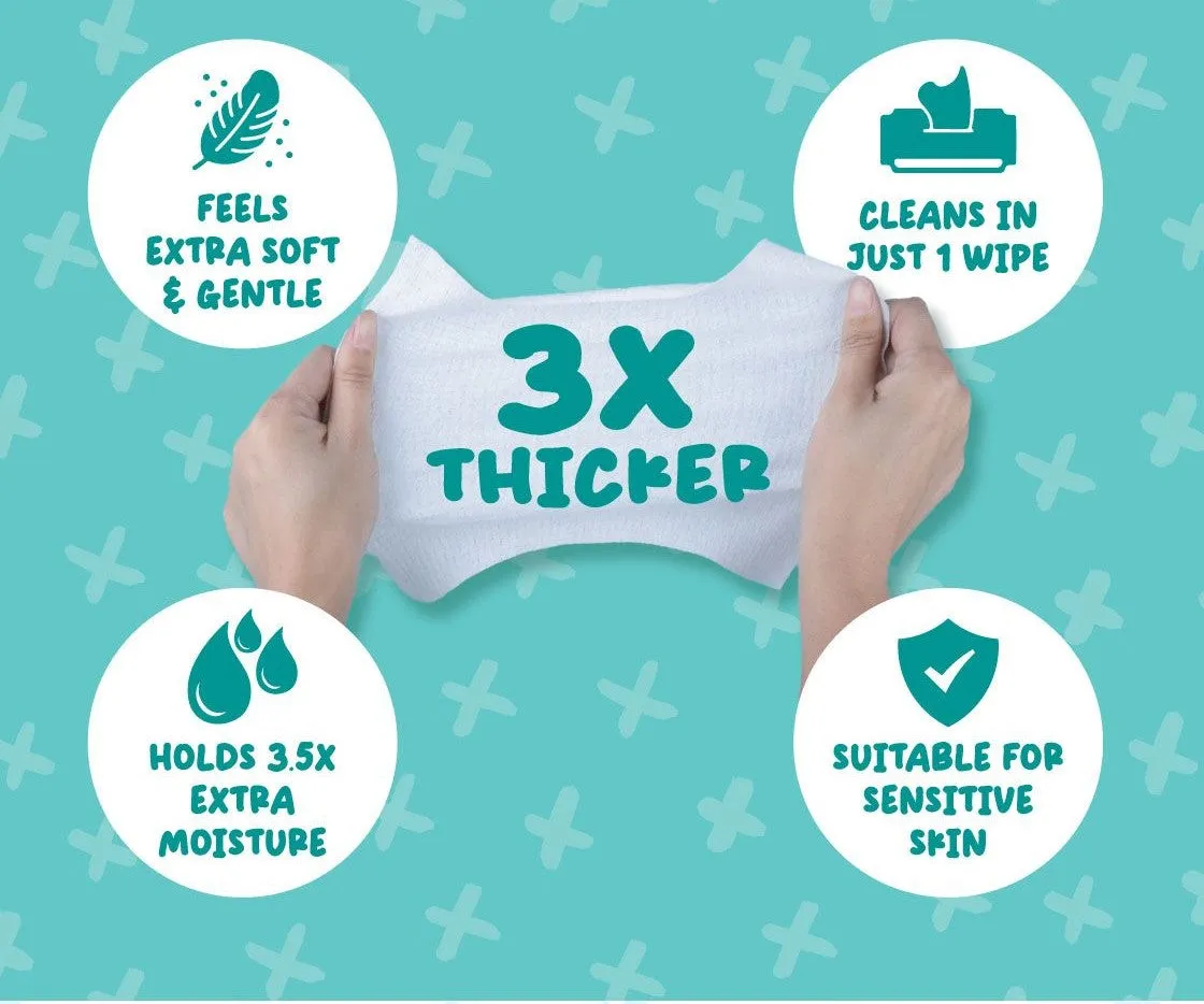 Absorb Plus Antibacterial Pet Wipes - Aloe Vera (80pcs) | Alcohol & Paraben Free