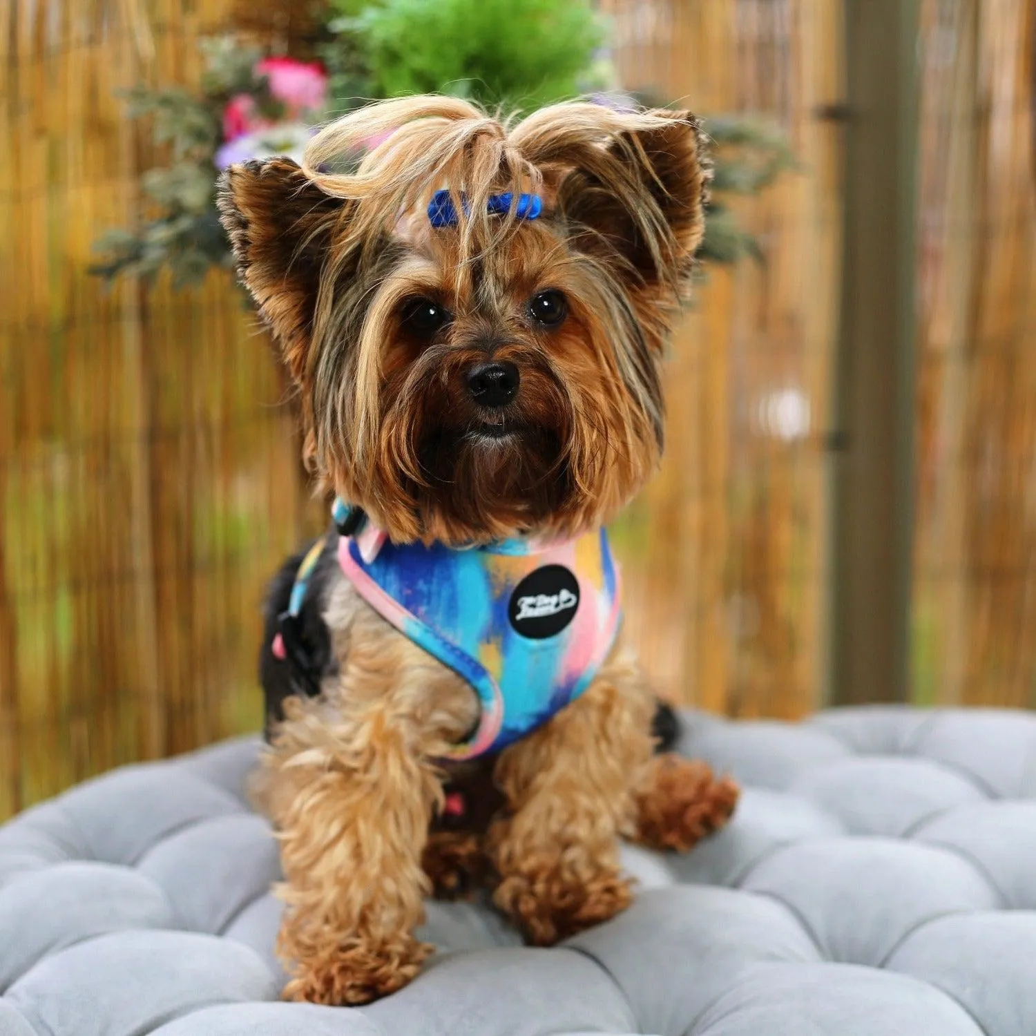Adjustable Dog Harness - The Artist