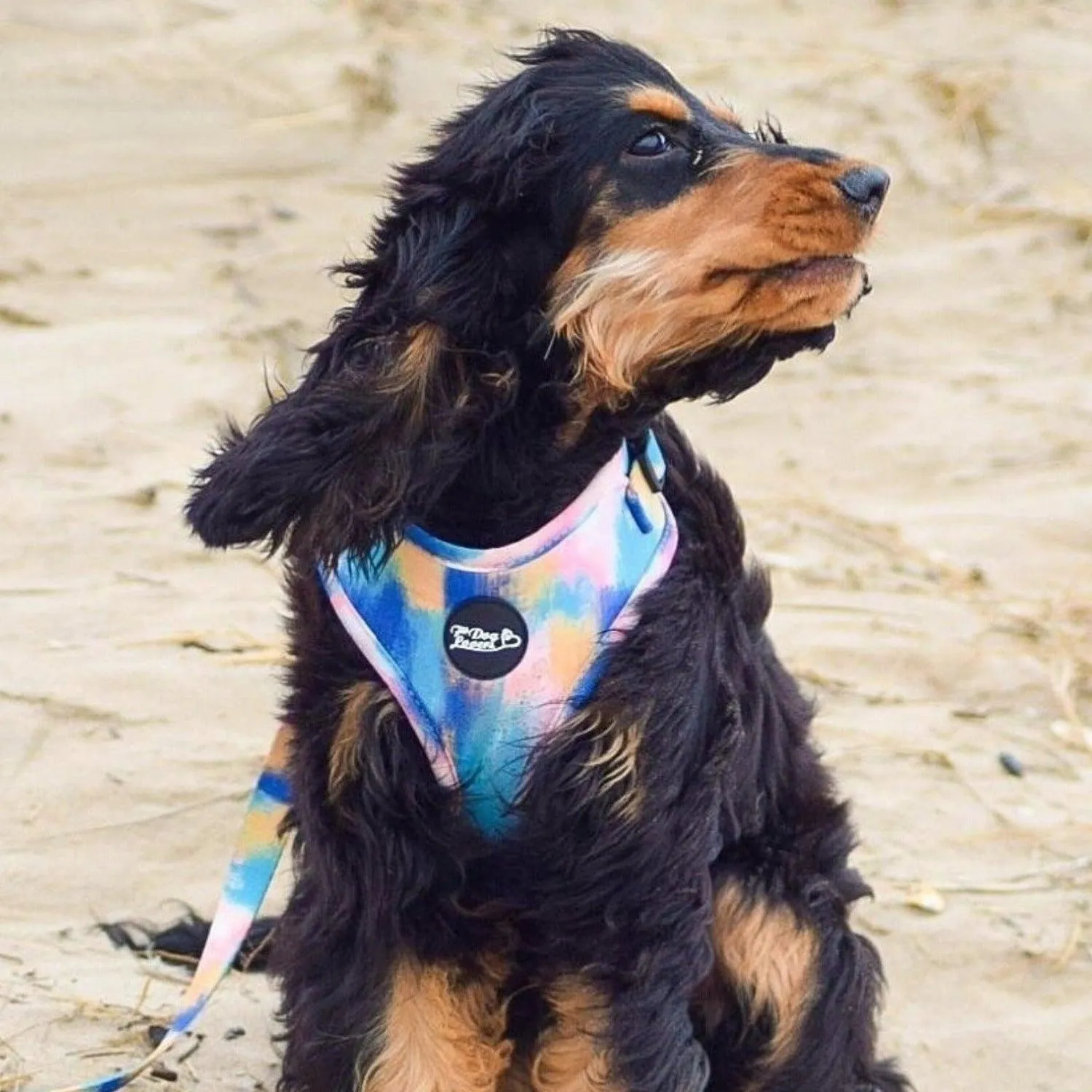 Adjustable Dog Harness - The Artist