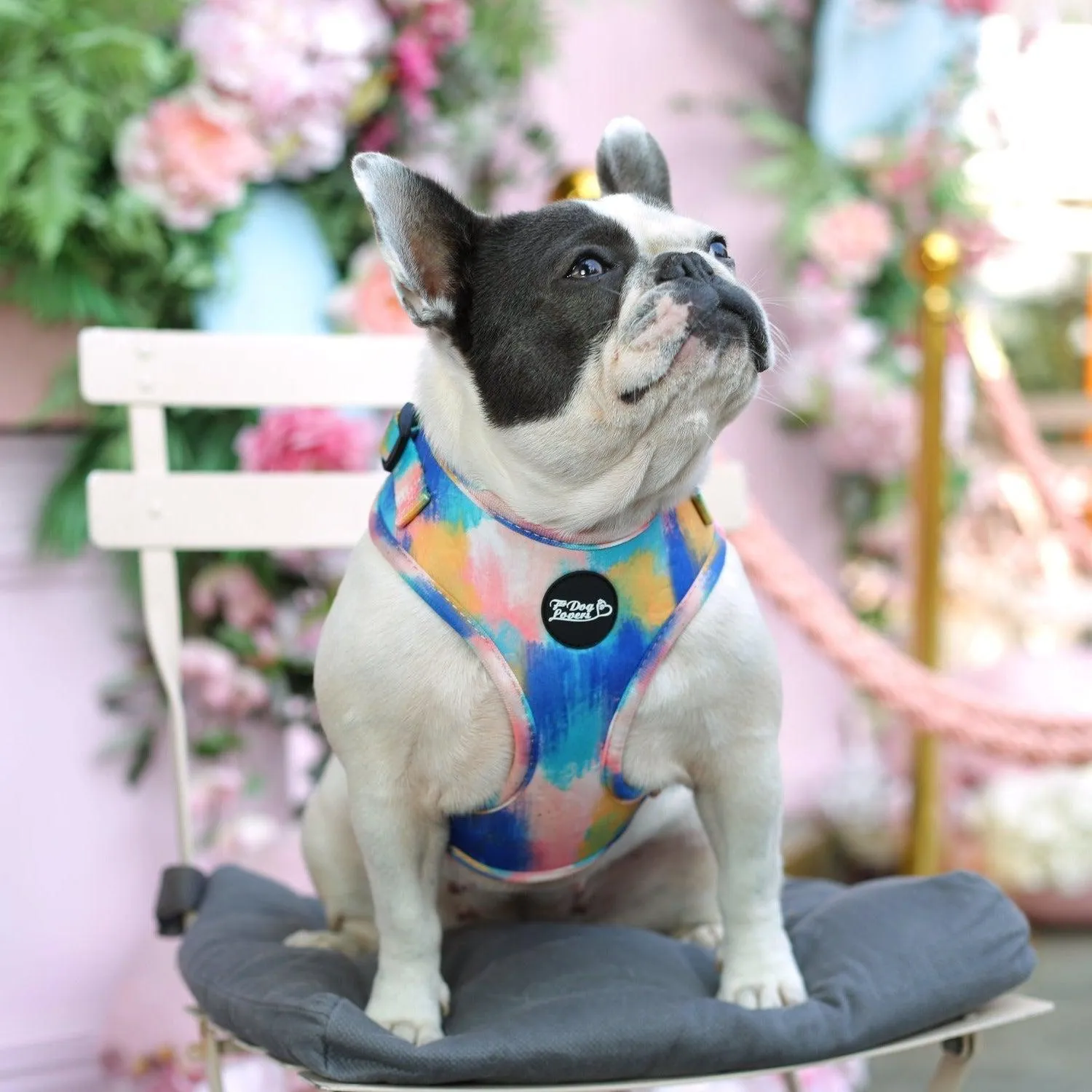 Adjustable Dog Harness - The Artist