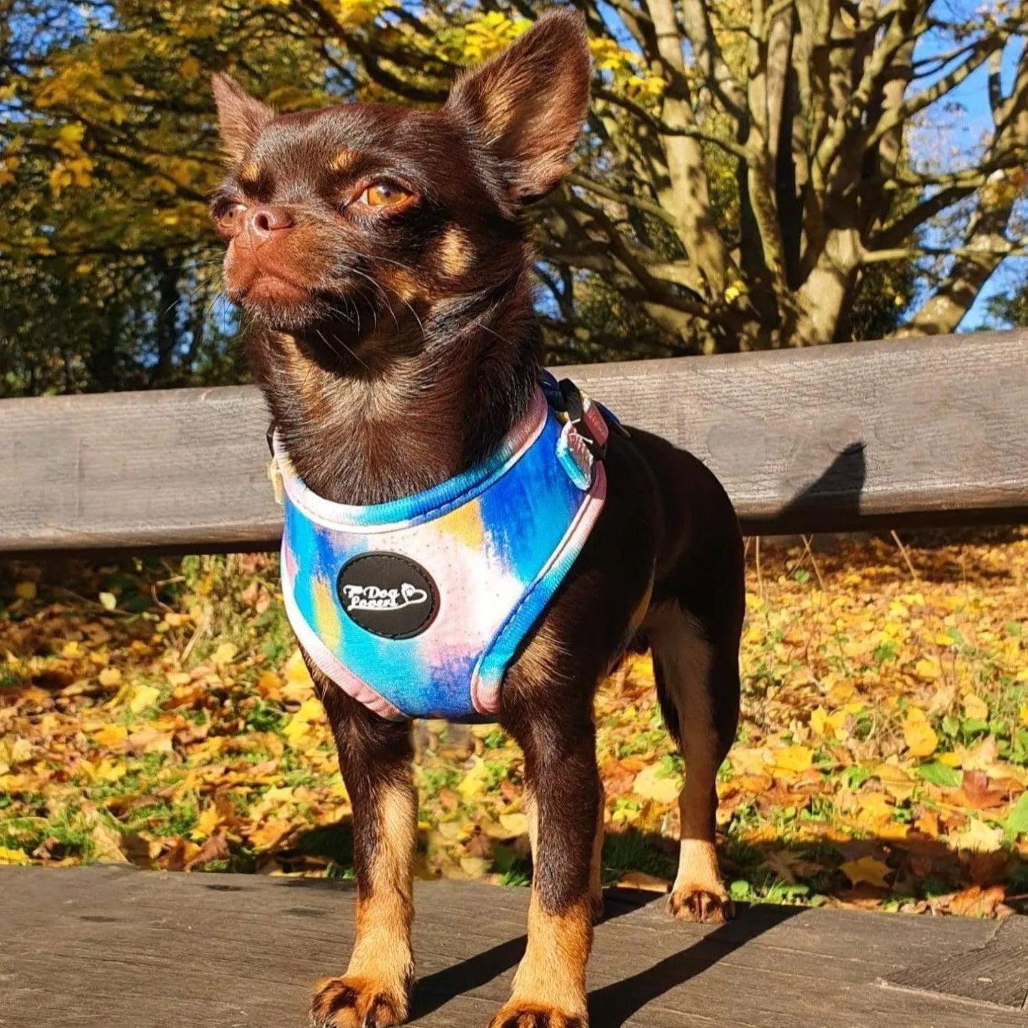 Adjustable Dog Harness - The Artist