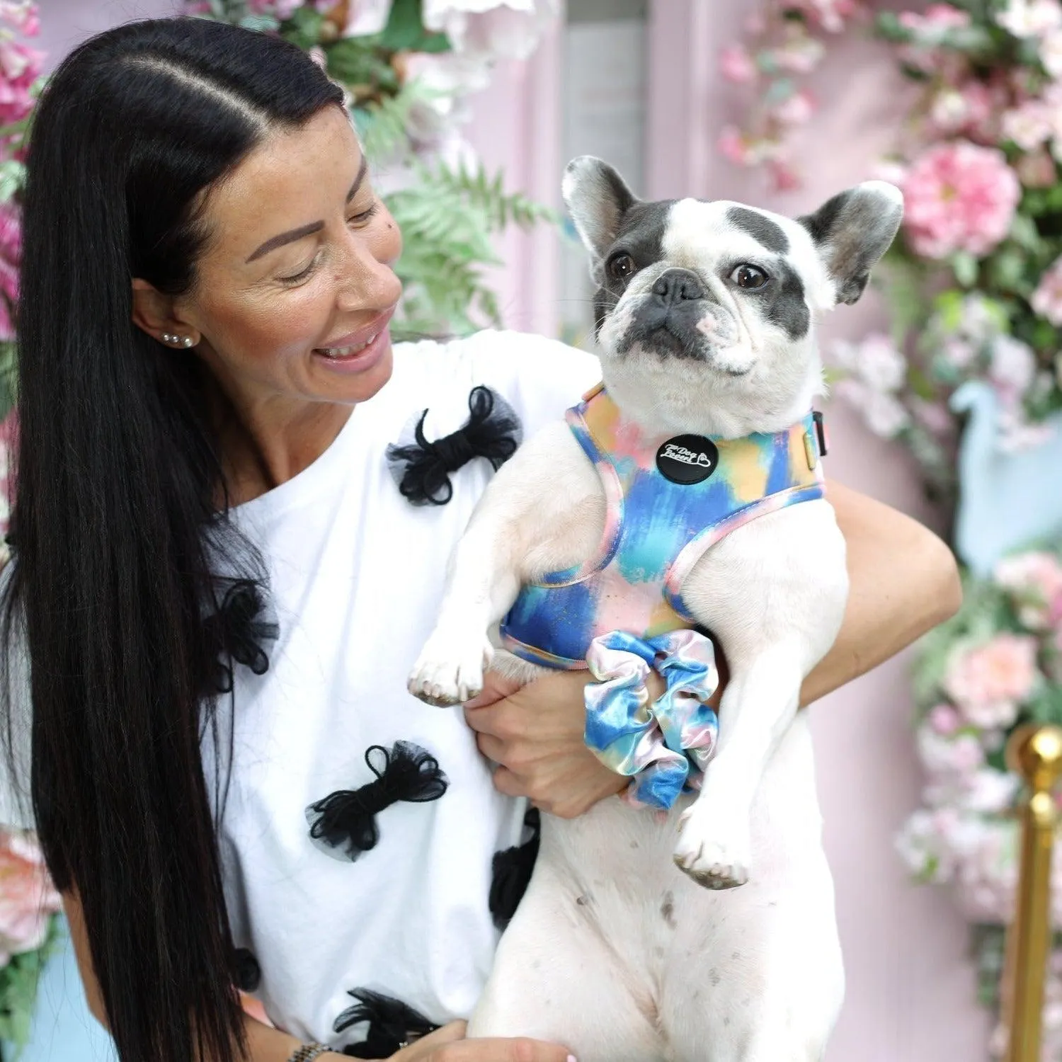 Adjustable Dog Harness - The Artist