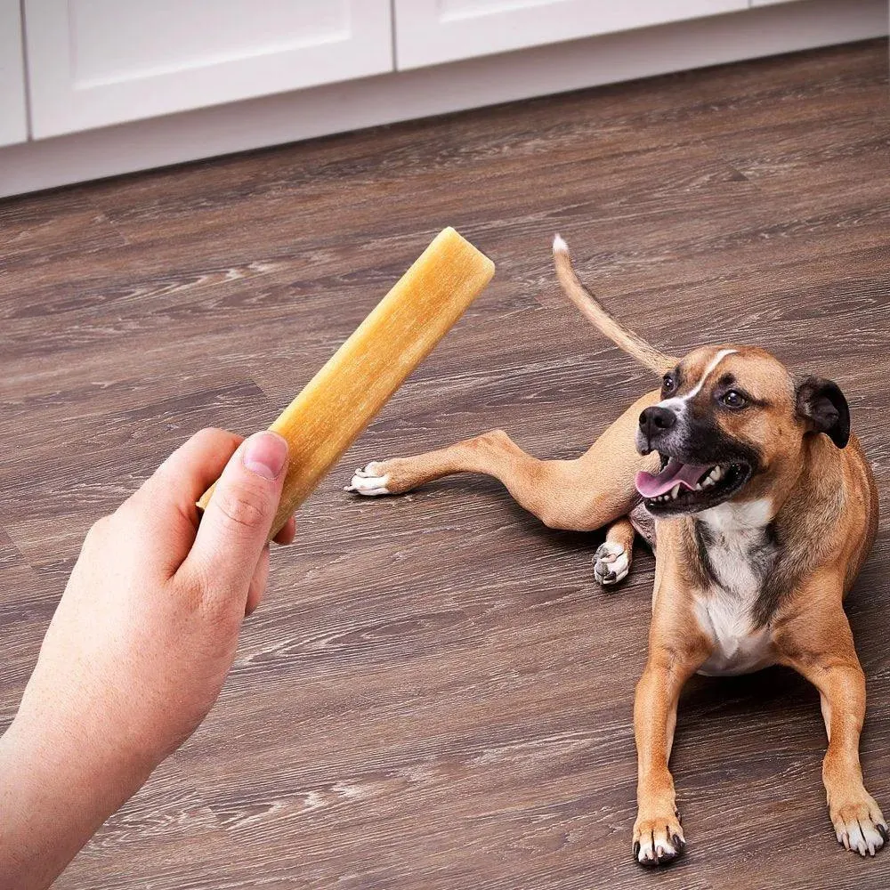 Bacon Cheese Munchy Bone Dog Treats 7 Count