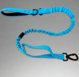 Blue Bungee Dog Leash - Reflective - Seatbelt attachment