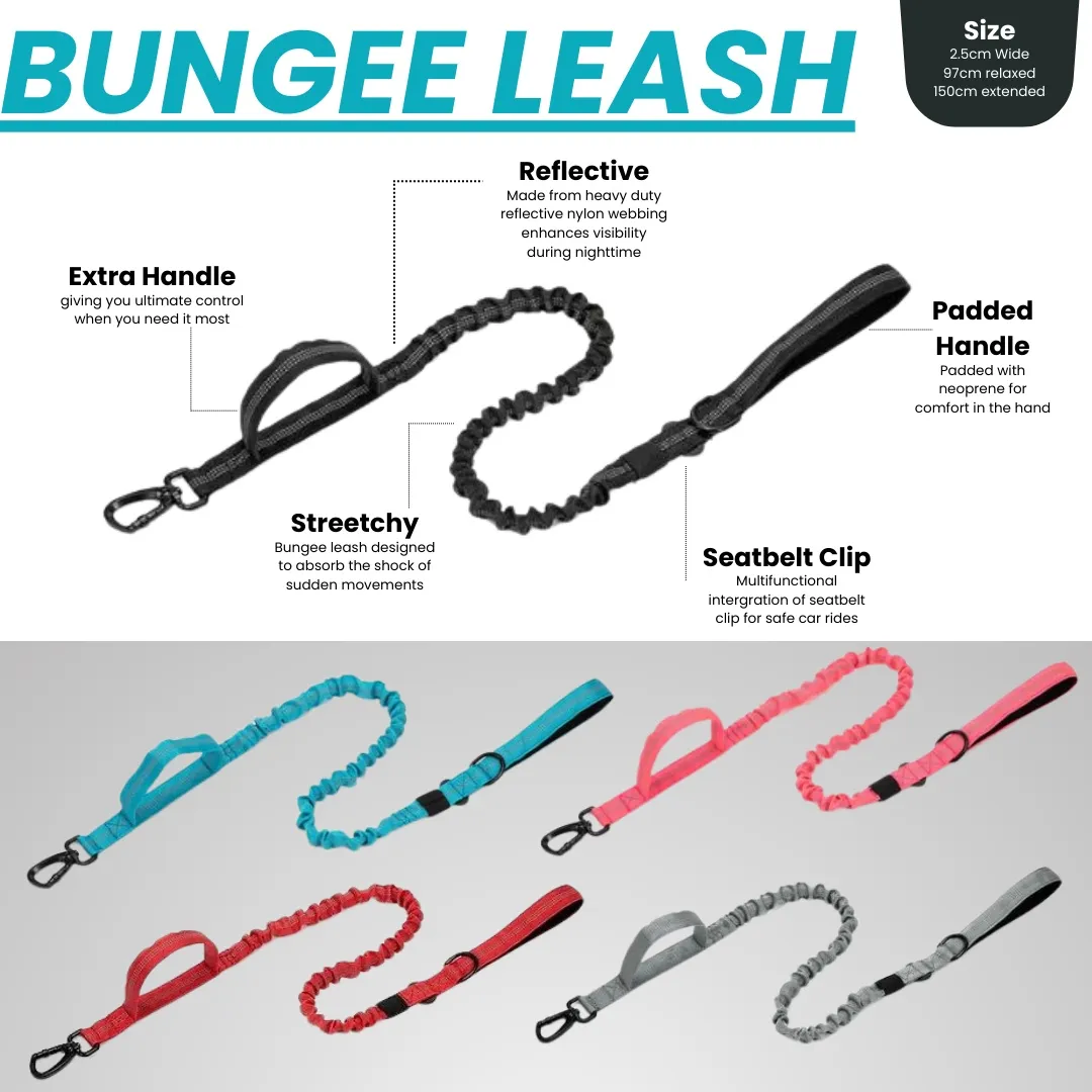 Blue Bungee Dog Leash - Reflective - Seatbelt attachment