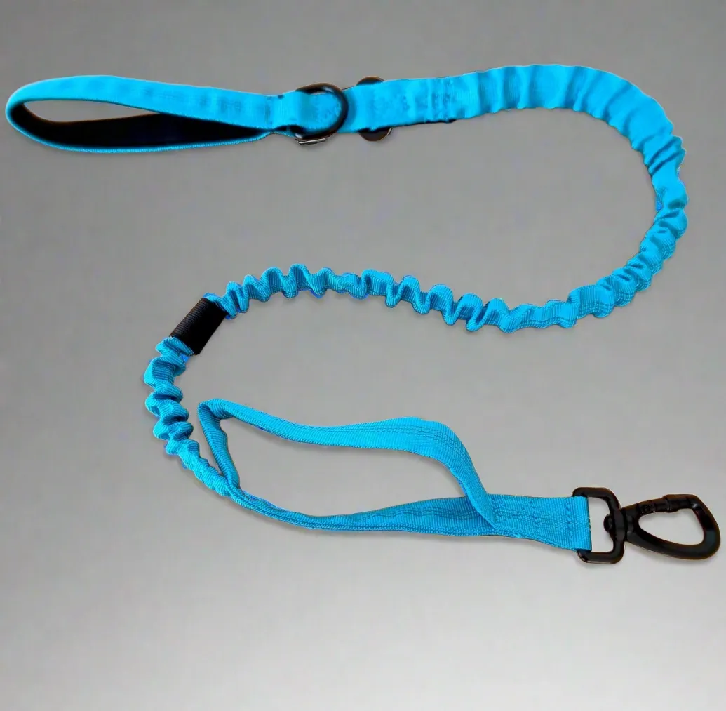 Blue Bungee Dog Leash - Reflective - Seatbelt attachment