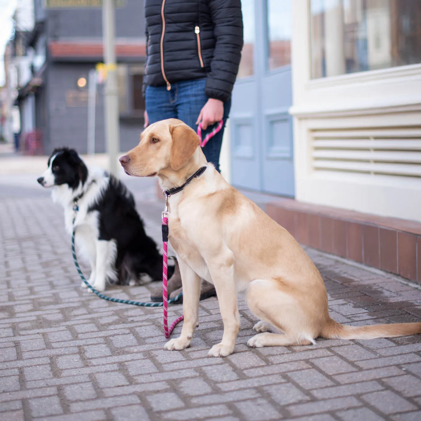 Camino Rope Leash