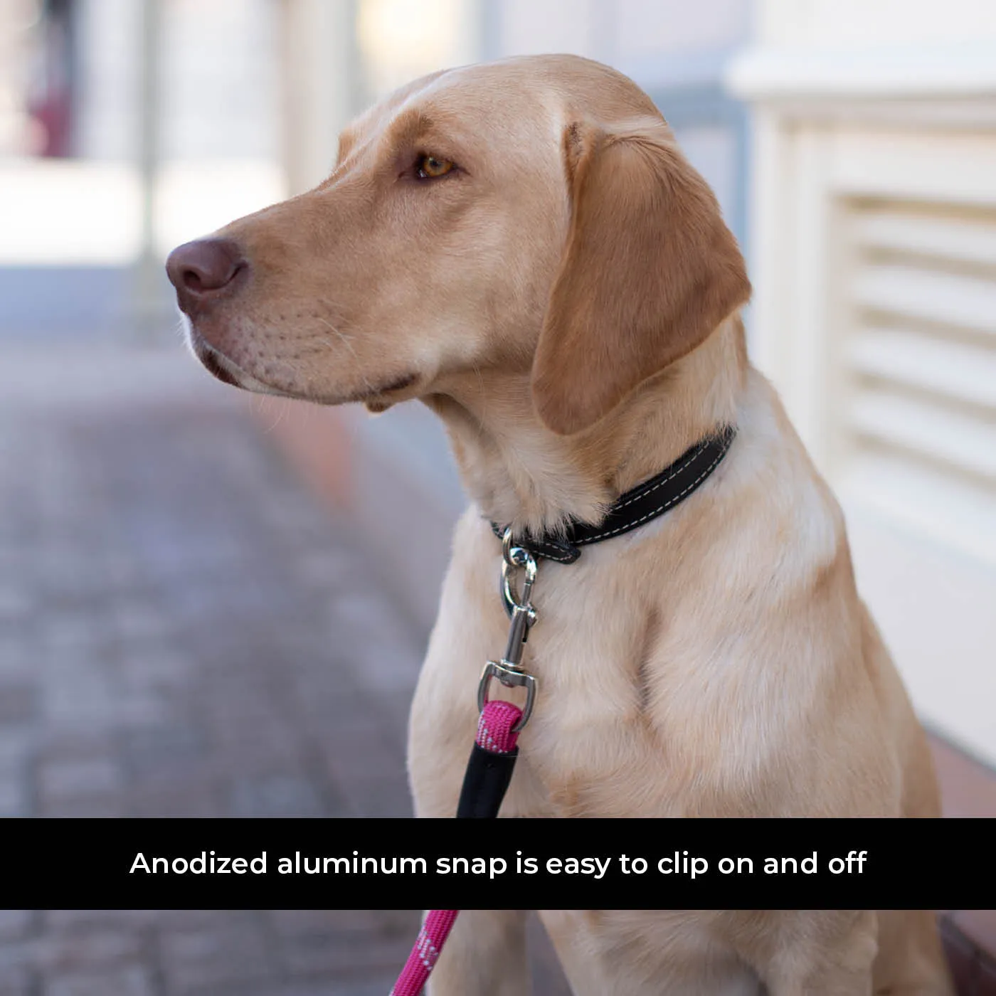 Camino Rope Leash