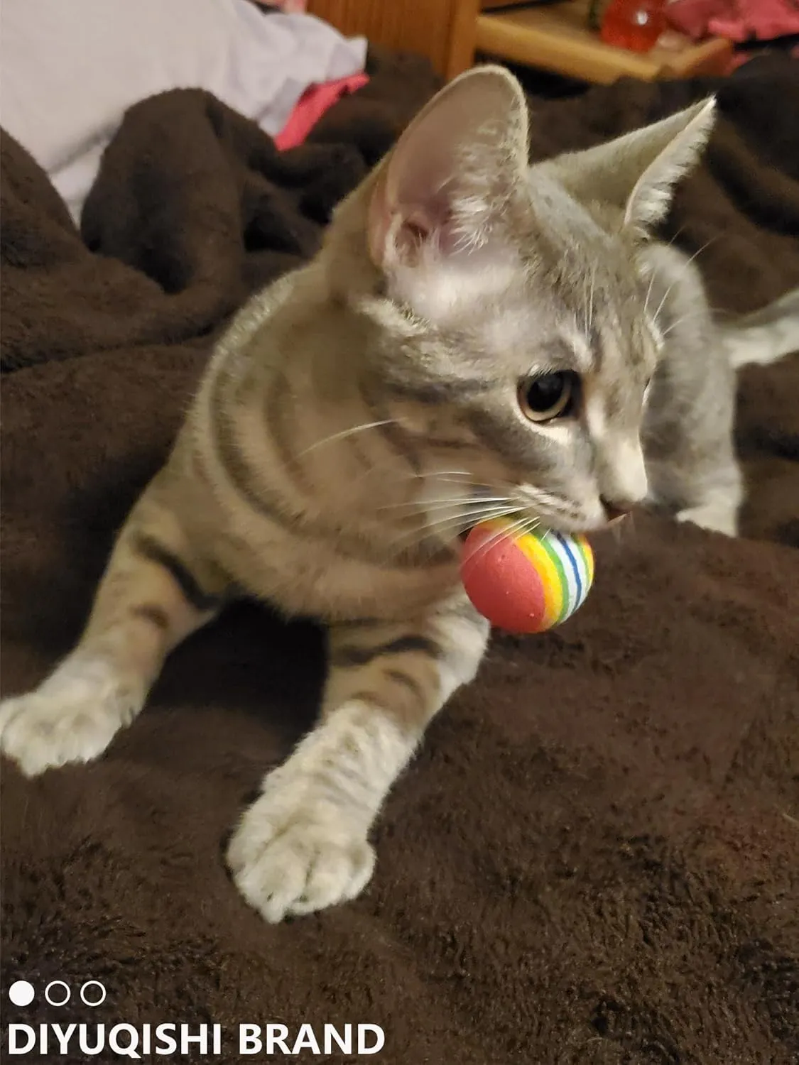 Cat Toys for Indoor Cats & Kittens, 10 Plastic Balls with Bells, Interactive Play & Healthy Exercise, 1.5-2.2 Inches, Assorted Styles