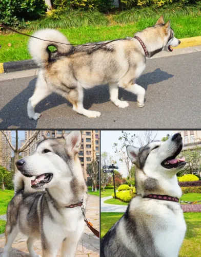 Dog Harness Leash Set Adjustable No Pull 3 Sizes Heavy Duty Walking Training Pet