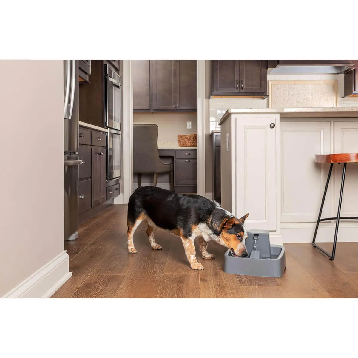 Drinkwell  Pet Fountain