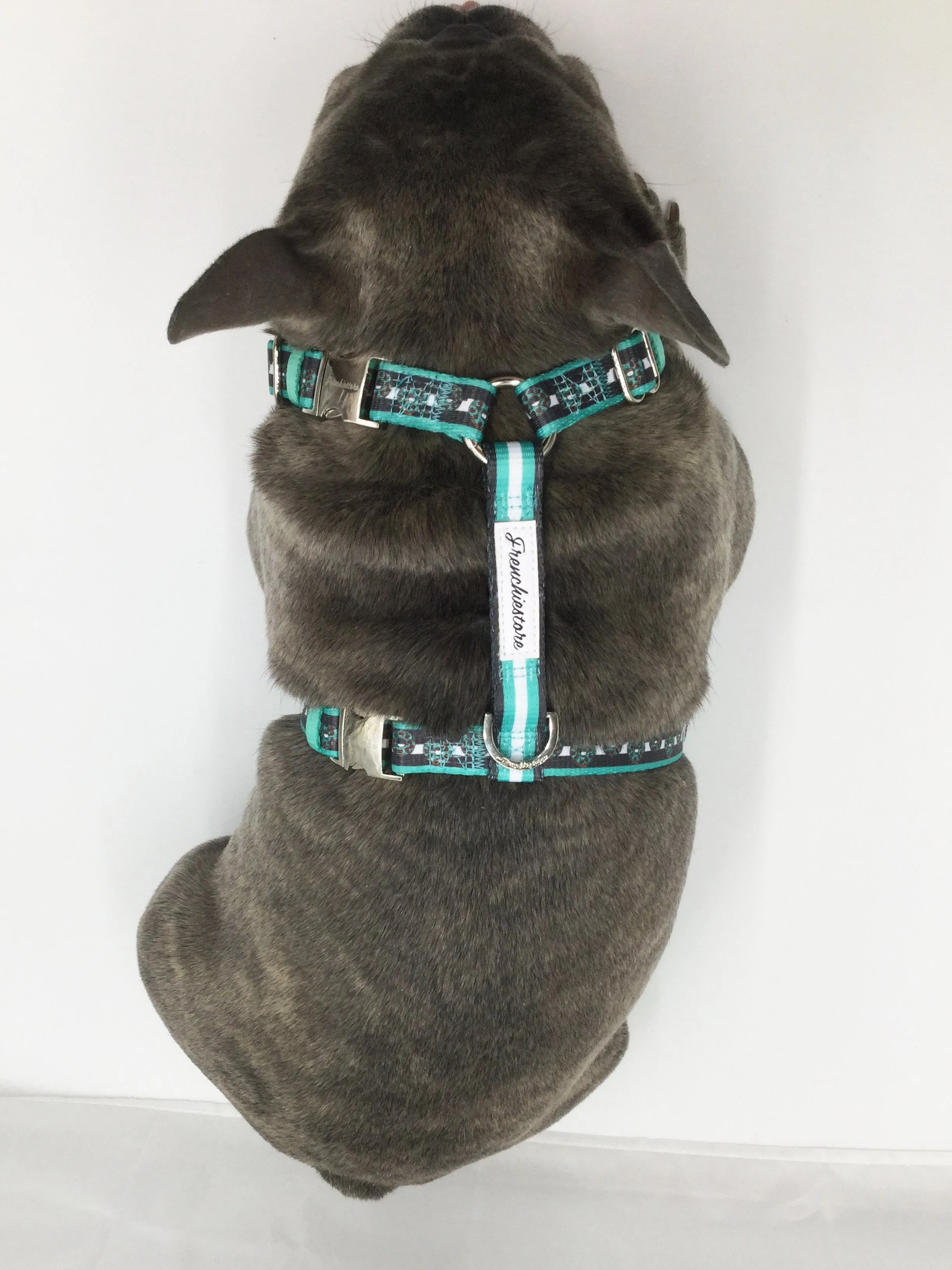 Frenchiestore Adjustable Pet Health Harness | Frenchie love in Teal