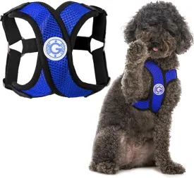 Gooby Comfort X Step In Harness - Blue, Small - Comfort X Step-in Small Dog Harness Patented Choke-Free X Frame - On the Go Dog Harness for Medium Dogs No Pull or Small Dogs for Indoor and Outdoor Use