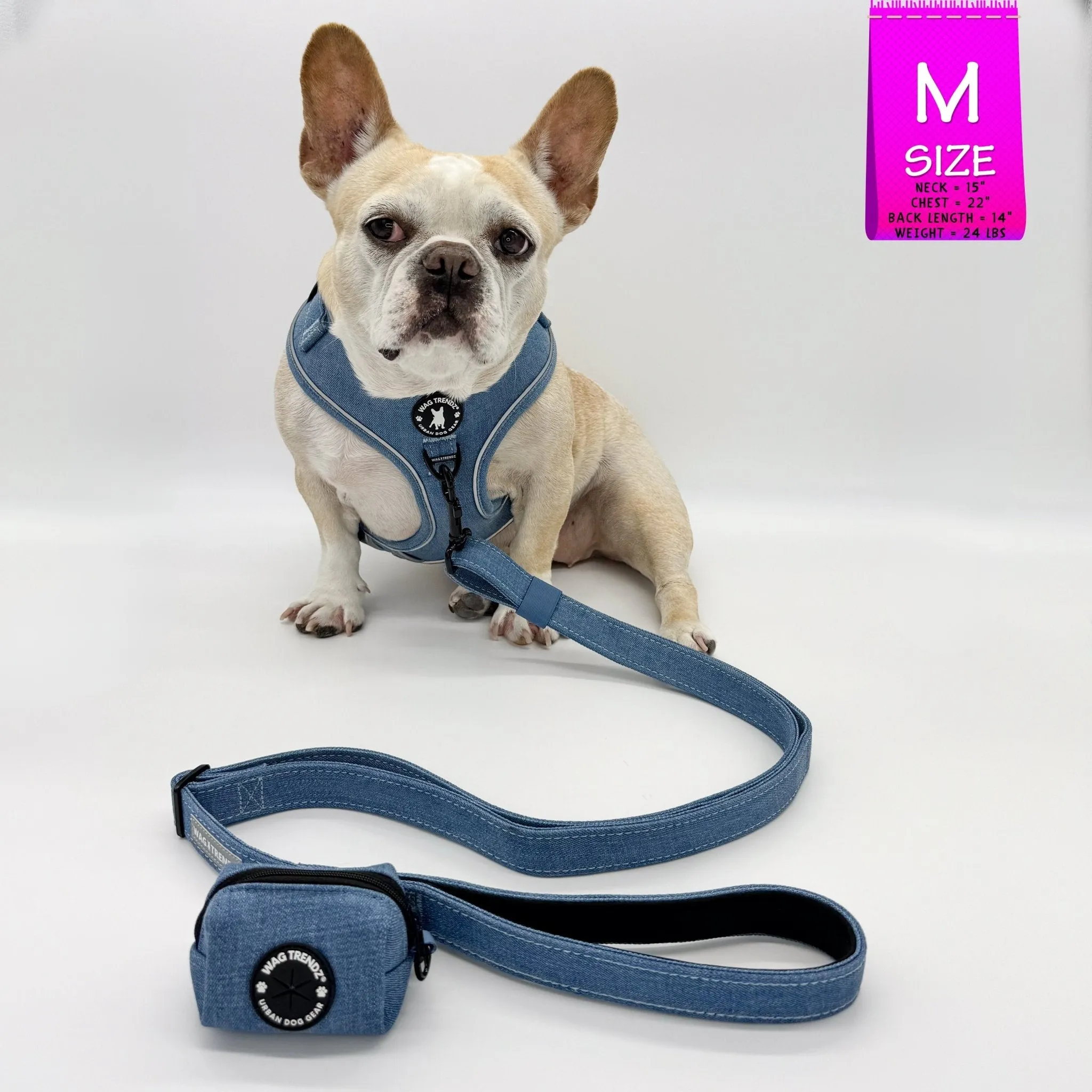 Harness and Leash Set   Poop Bag Holder | Downtown Denim