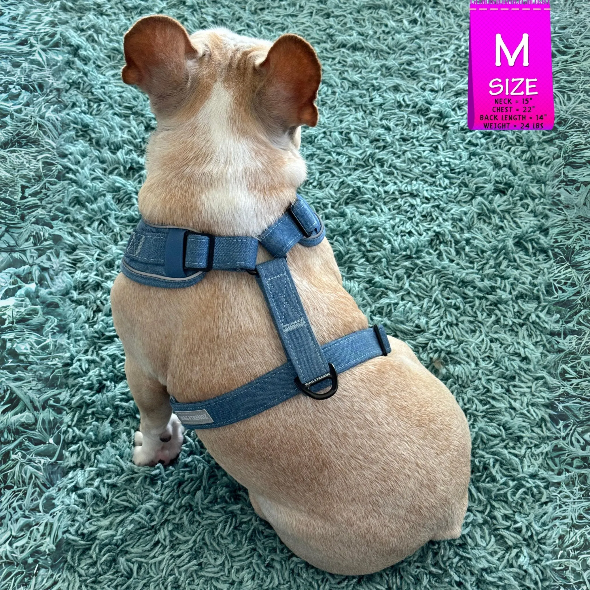Harness and Leash Set   Poop Bag Holder | Downtown Denim