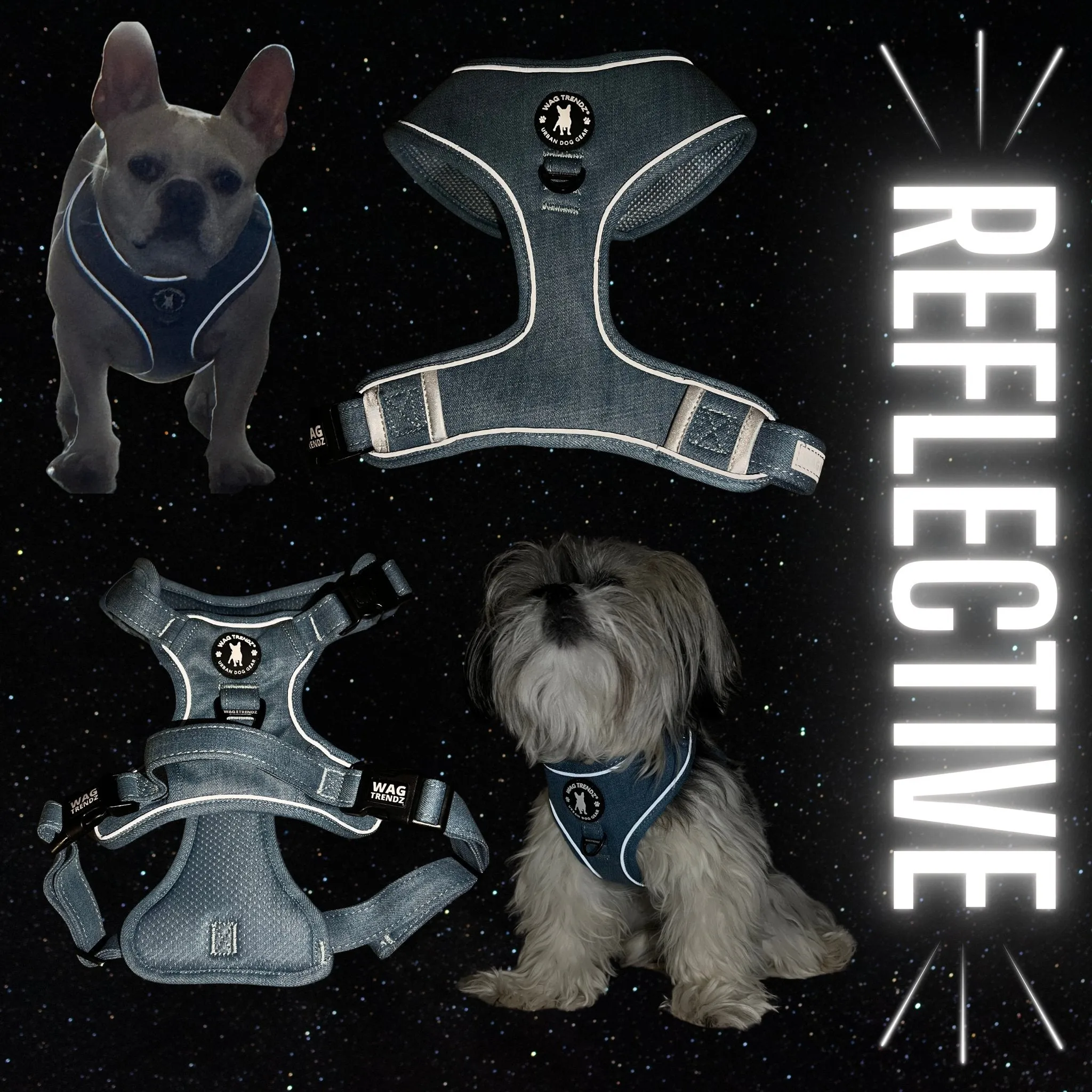 Harness and Leash Set   Poop Bag Holder | Downtown Denim