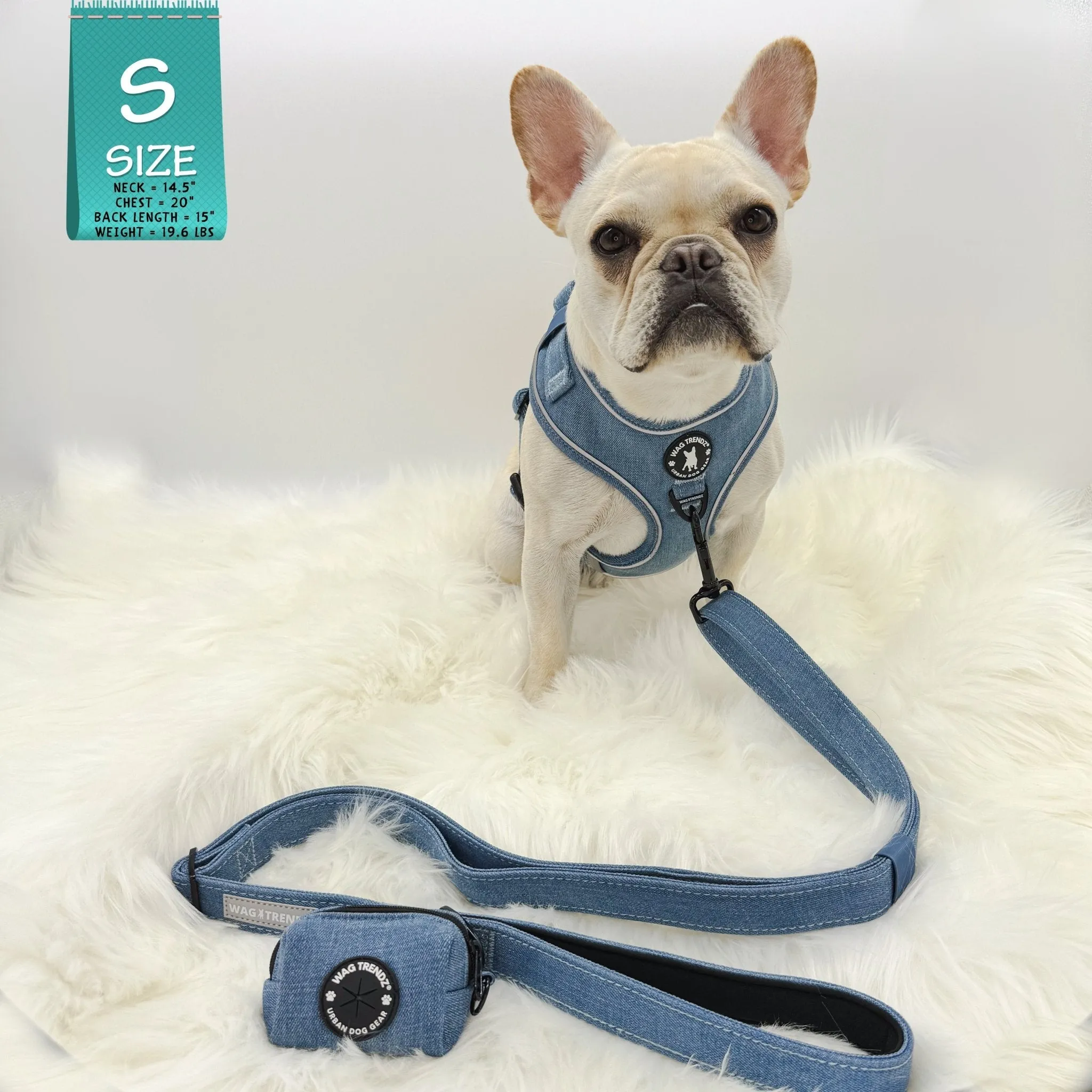 Harness and Leash Set   Poop Bag Holder | Downtown Denim