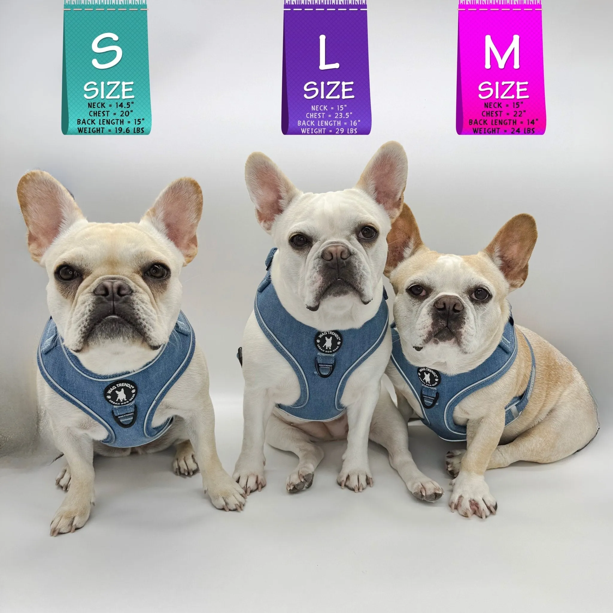 Harness and Leash Set   Poop Bag Holder | Downtown Denim
