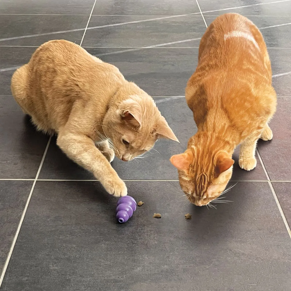 Kong Nibbies Chicken Cat Treats 2oz