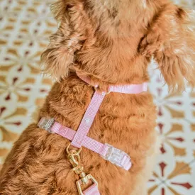 Ollie Walkies: Aero Paw - Rose Quartz (Harness)