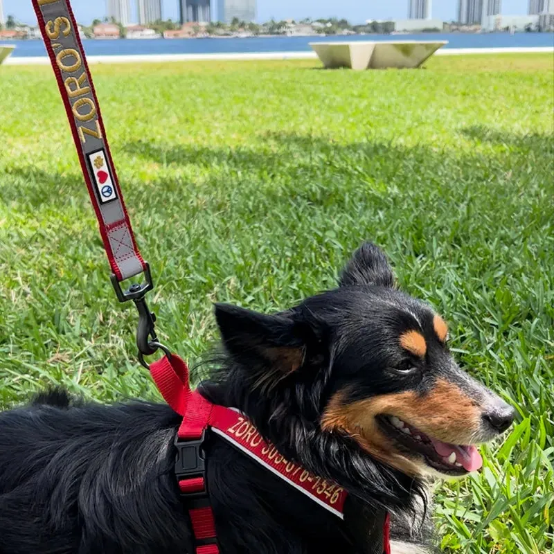 Personalized Reflective Padded Leash 6-Ft