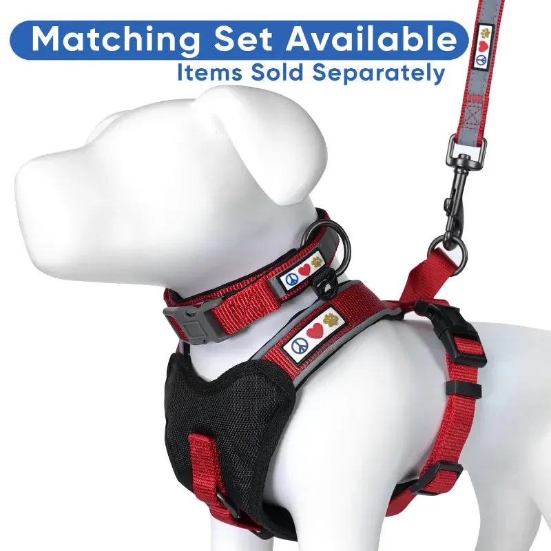 Personalized Reflective Padded Leash 6-Ft
