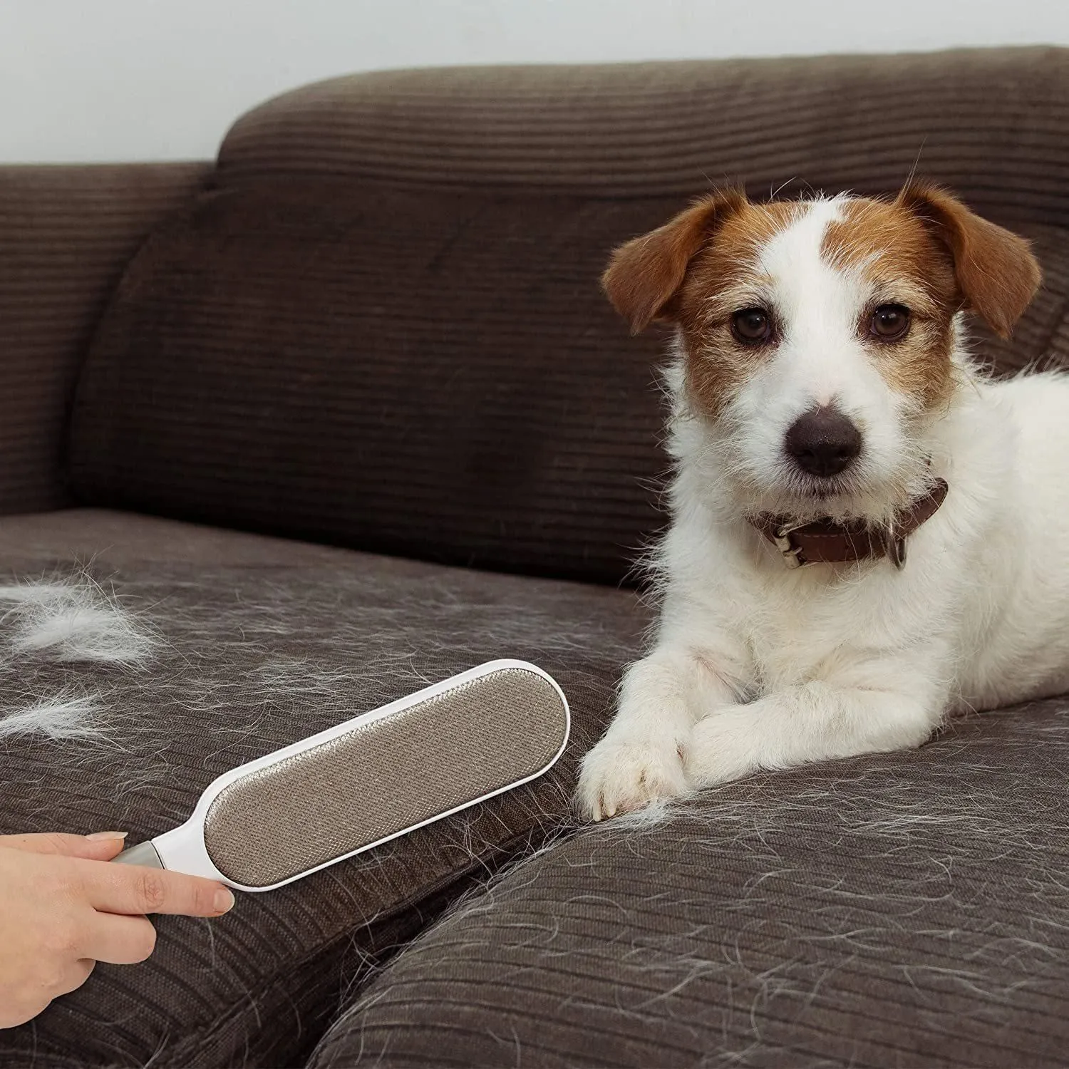 Pet Hair Remover Lint Brush