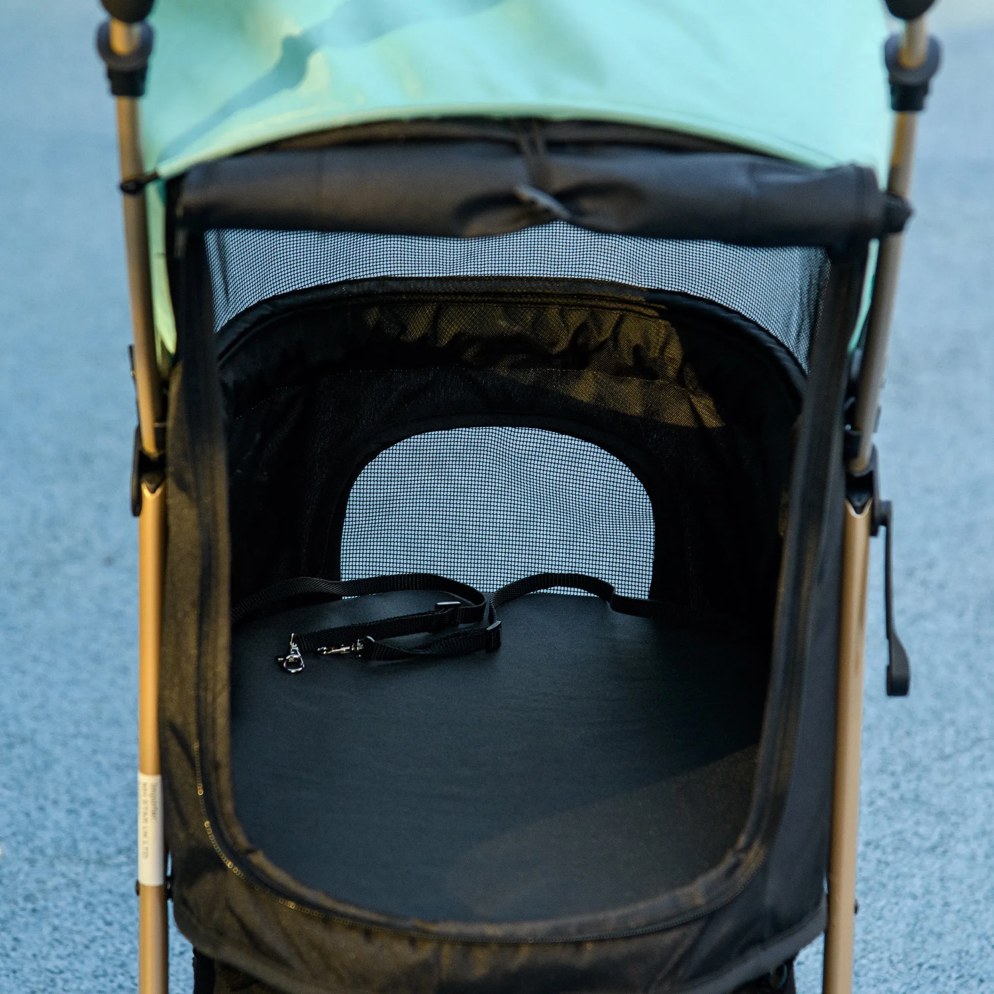 Pet Stroller for Small and Miniature Dogs, with Rain Cover - Green