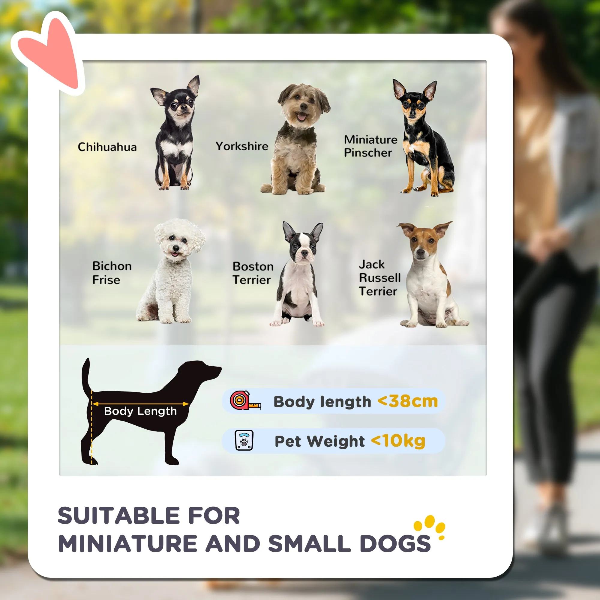 Pet Stroller for Small and Miniature Dogs, with Rain Cover - Green