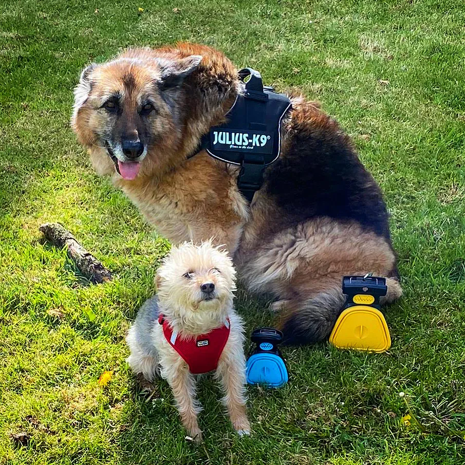 🔥Portable Dog Poop Scooper