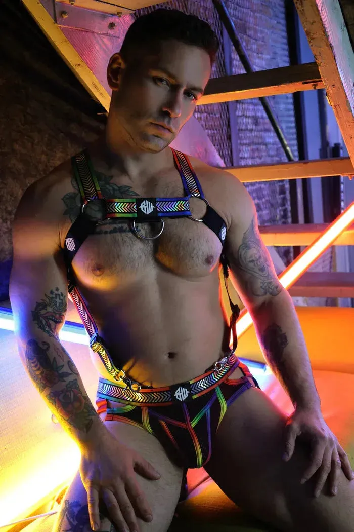 PURE PRIDE HARNESS
