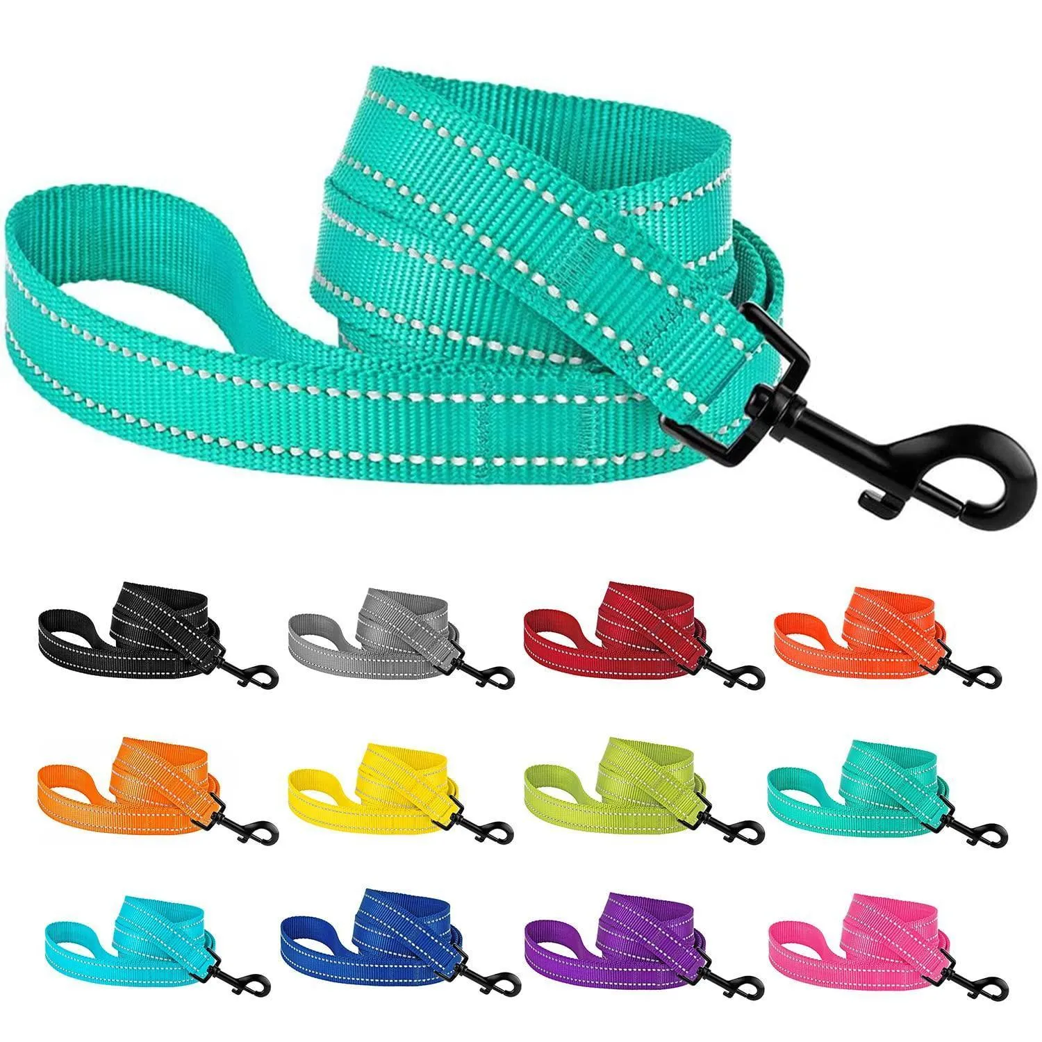 Reflective Nylon Dog Leash