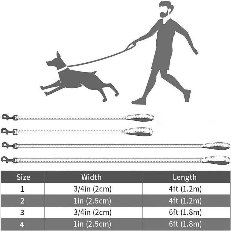 Reflective Nylon Dog Leash