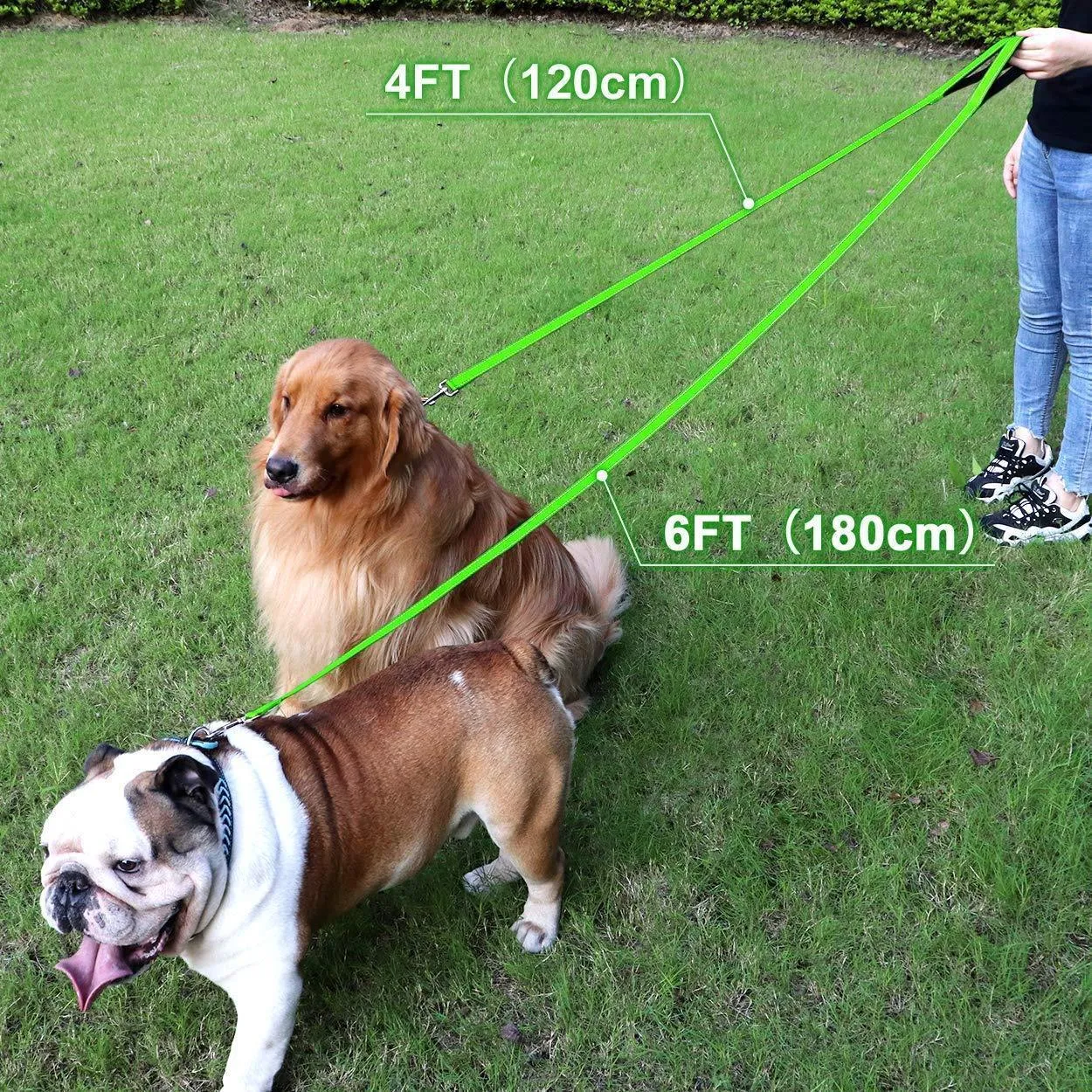 Reflective Nylon Dog Leash