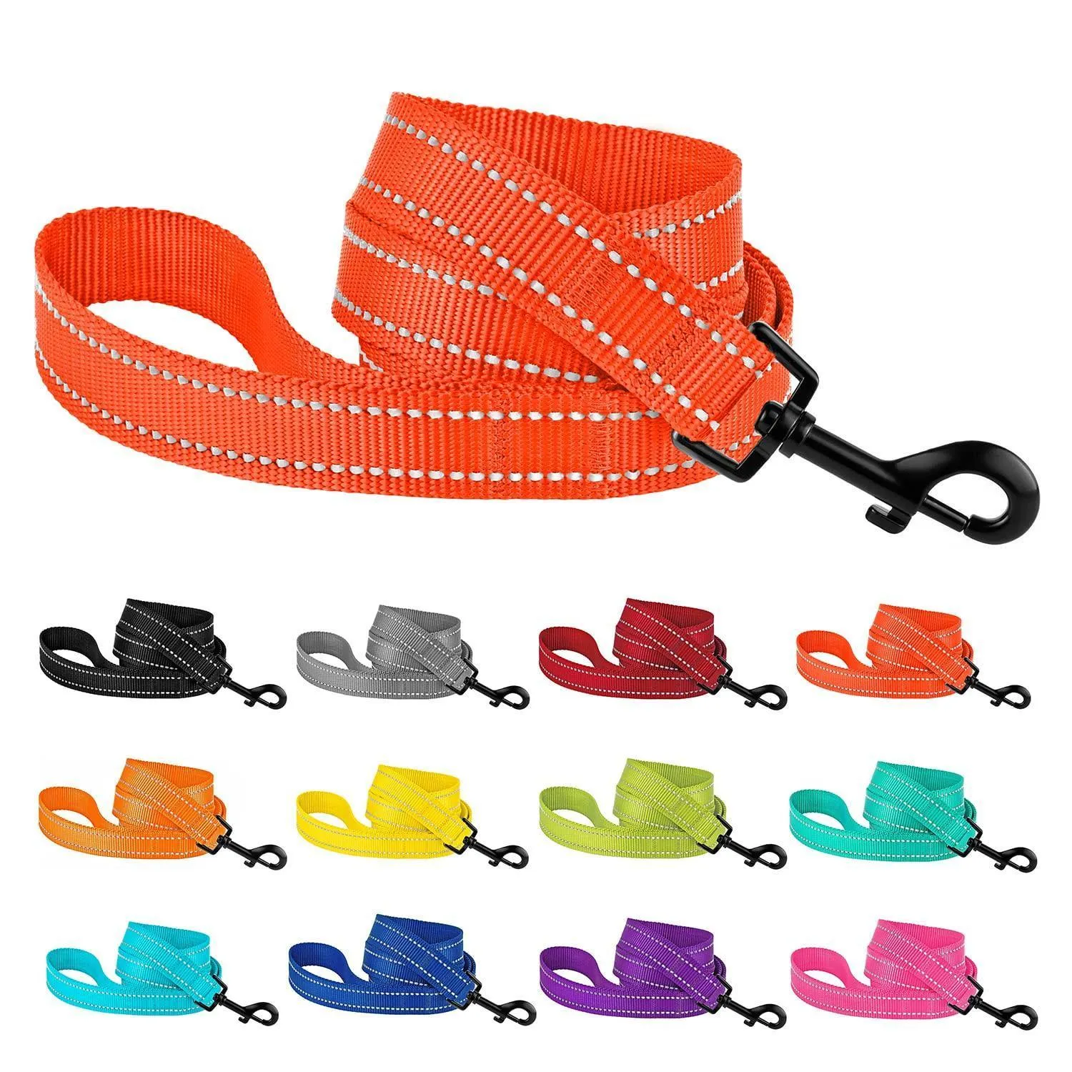 Reflective Nylon Dog Leash