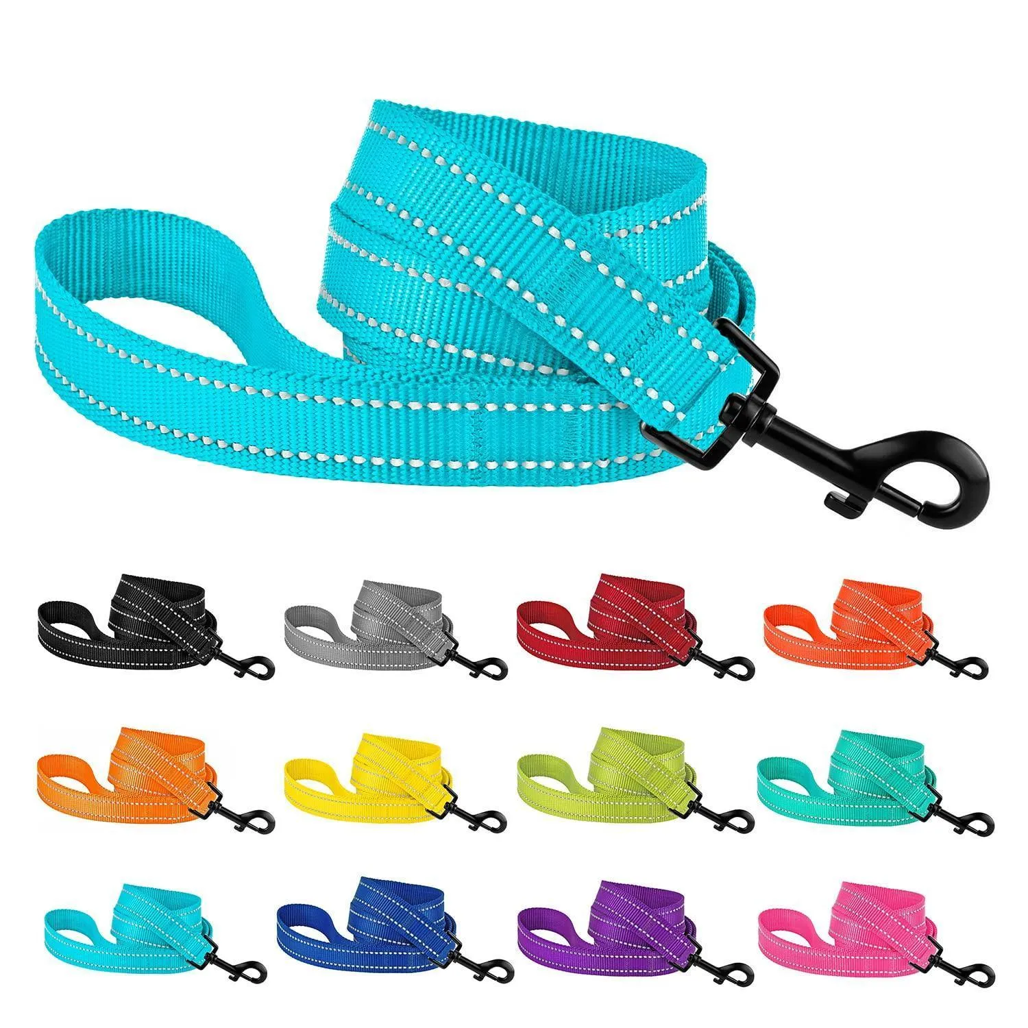 Reflective Nylon Dog Leash