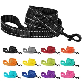 Reflective Nylon Dog Leash