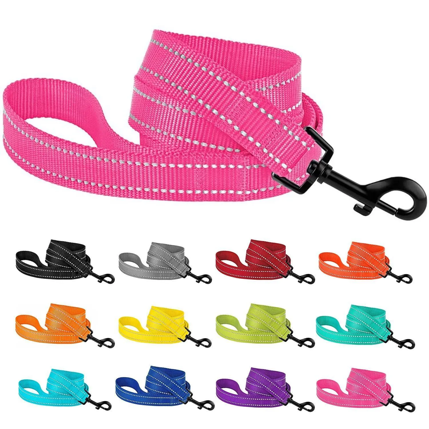 Reflective Nylon Dog Leash