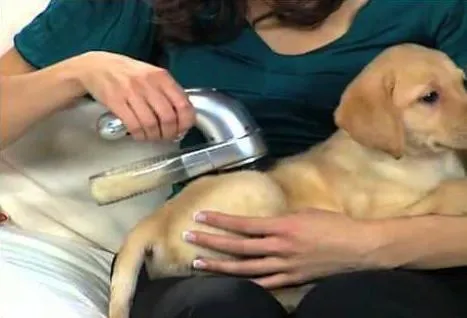 Shed Pal Pet Hair Removal Vacuum