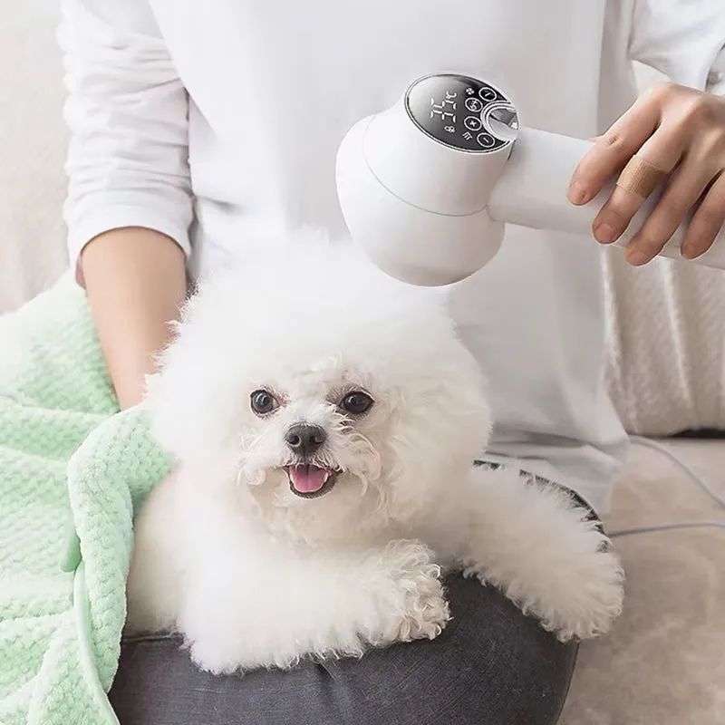 Smart 2-in-1 Dog Hair Dryer & Cat Grooming Blower - Negative Ion Technology, Low Noise, LED Touch Control, Temperature Display for Pets