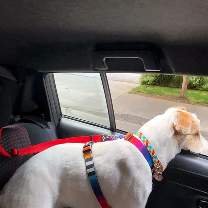 Solid Color Two-in-one Pet Car Seat Belt Adjustable Dogs Harness