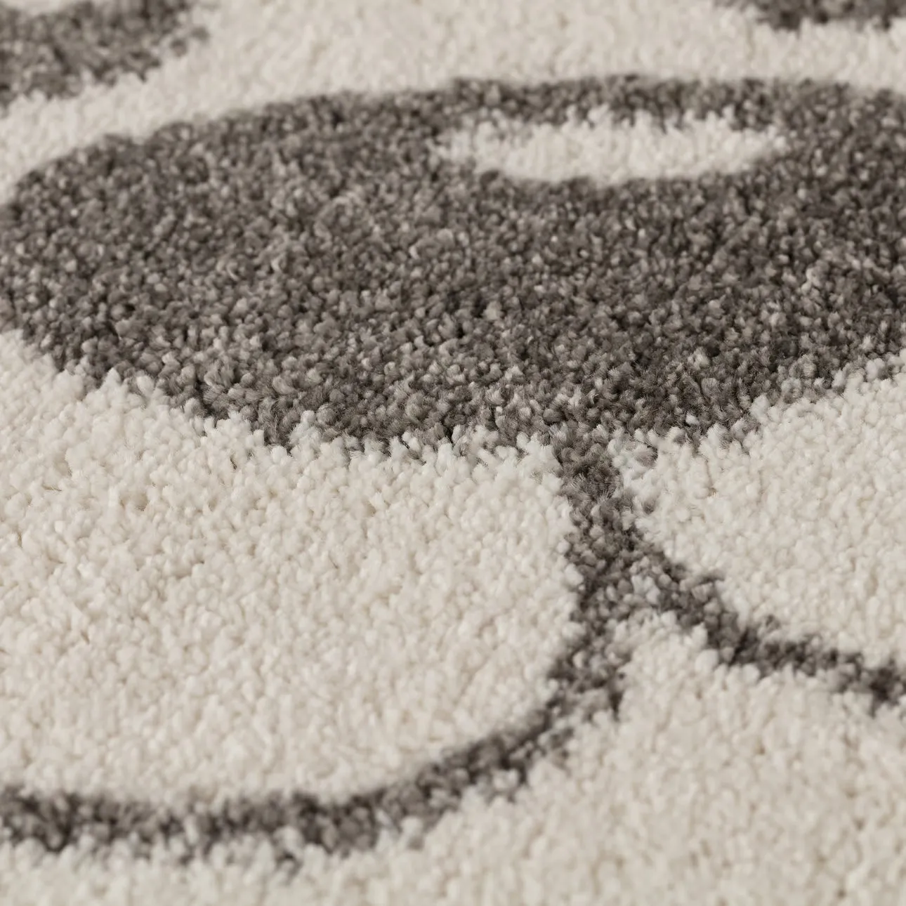 Teddy Bear rug