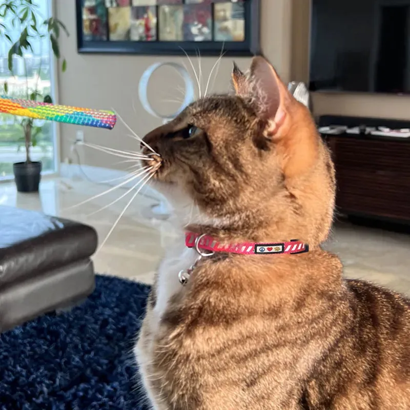 Traffic Reflective Cat Collar