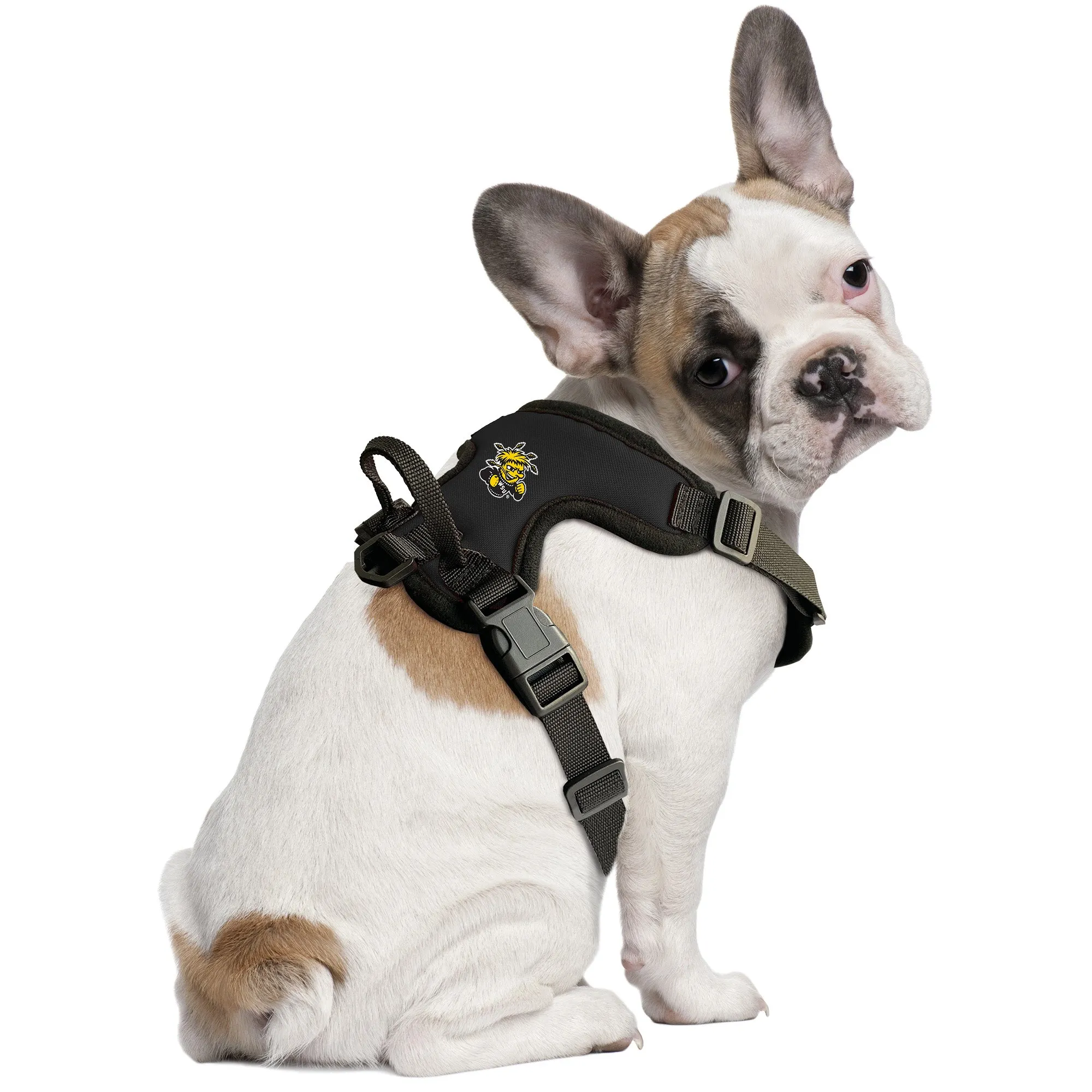 Wichita State University Front Clip Pet Harness