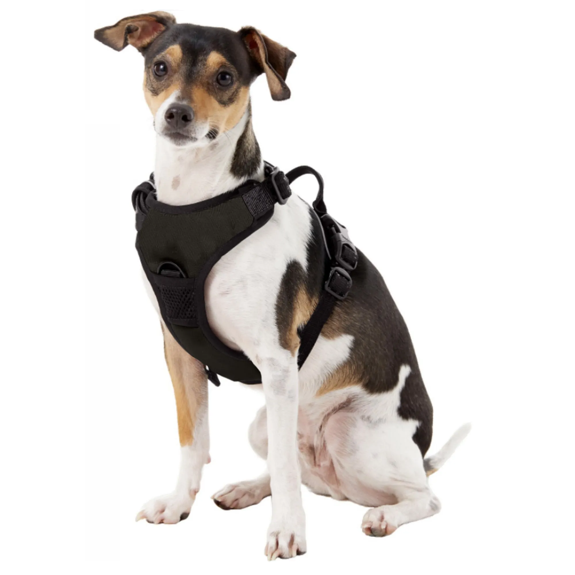 Wichita State University Front Clip Pet Harness